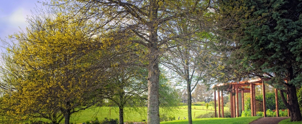 Spring growth adorns the trees in front of the curved, red-painted pergola of the Womens suffrage garden