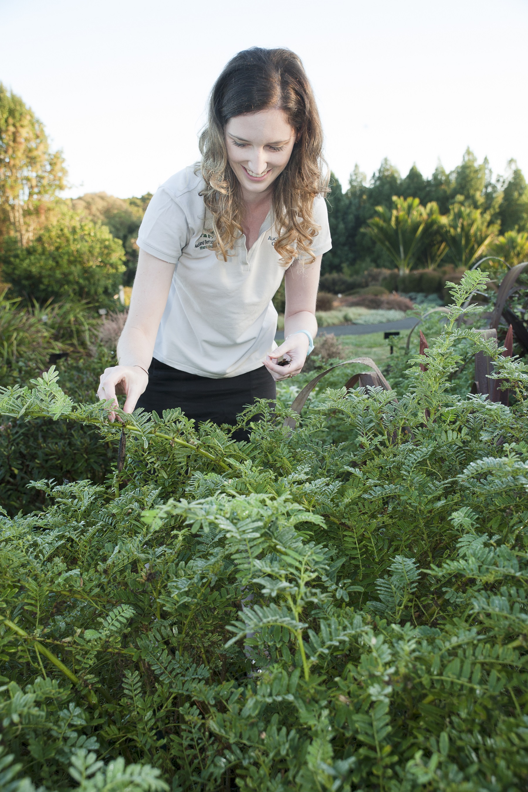 Emma collecting seed.jpg