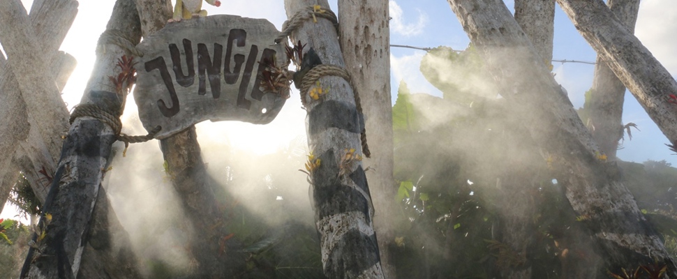 The misty jungle of the Potter Children's Garden