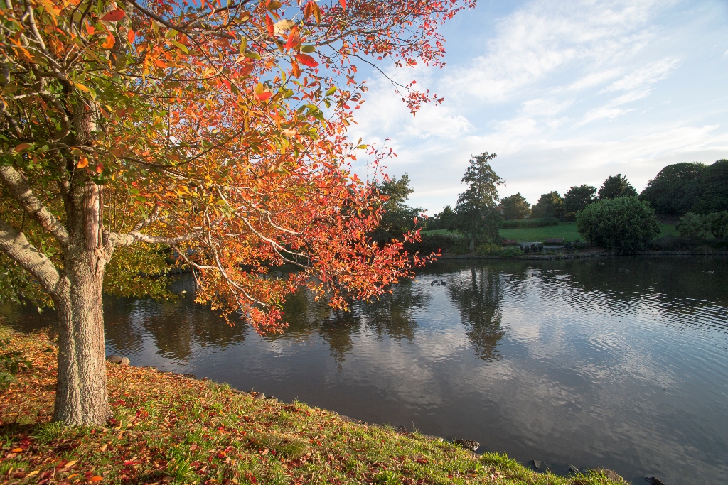 Auckland Botanic Gardens | Auckland Botanic Gardens