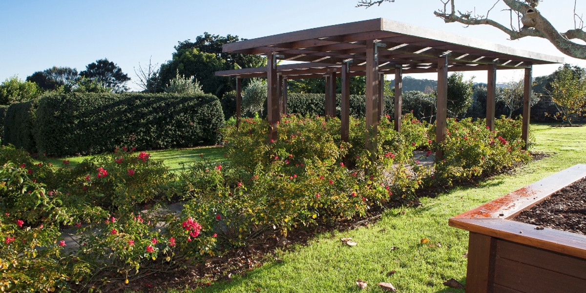 The Logan Campbell Building - garden surroundings