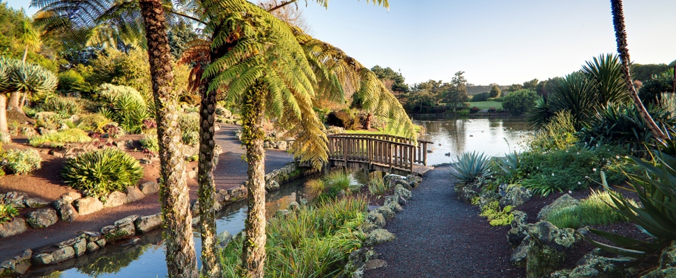 Image showing metal path to bridge in the rock garden