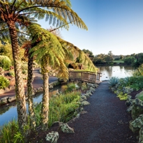 Image showing metal path to bridge in the rock garden