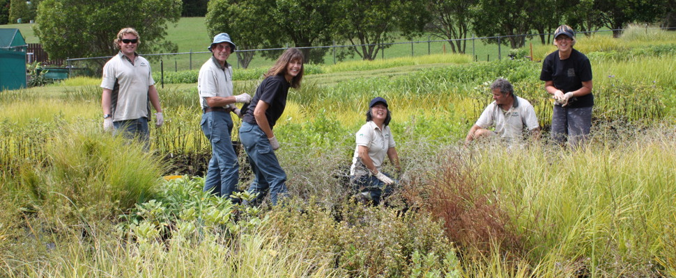 Nursery volunteers