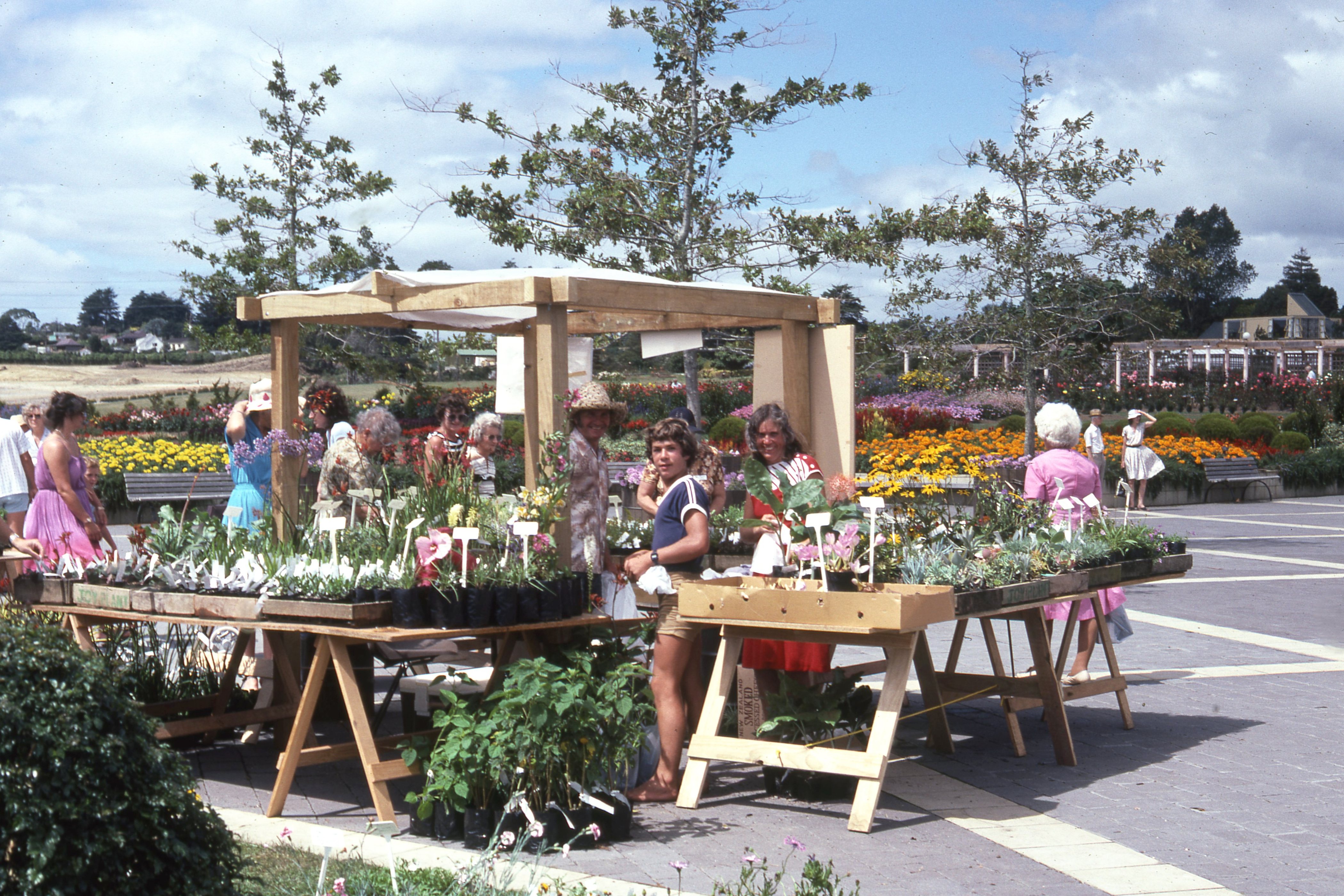 1984. Second anniversary plant sale.