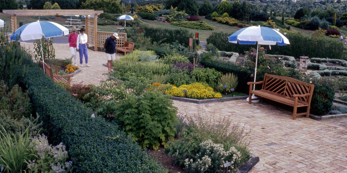 1991. The Herb Garden.