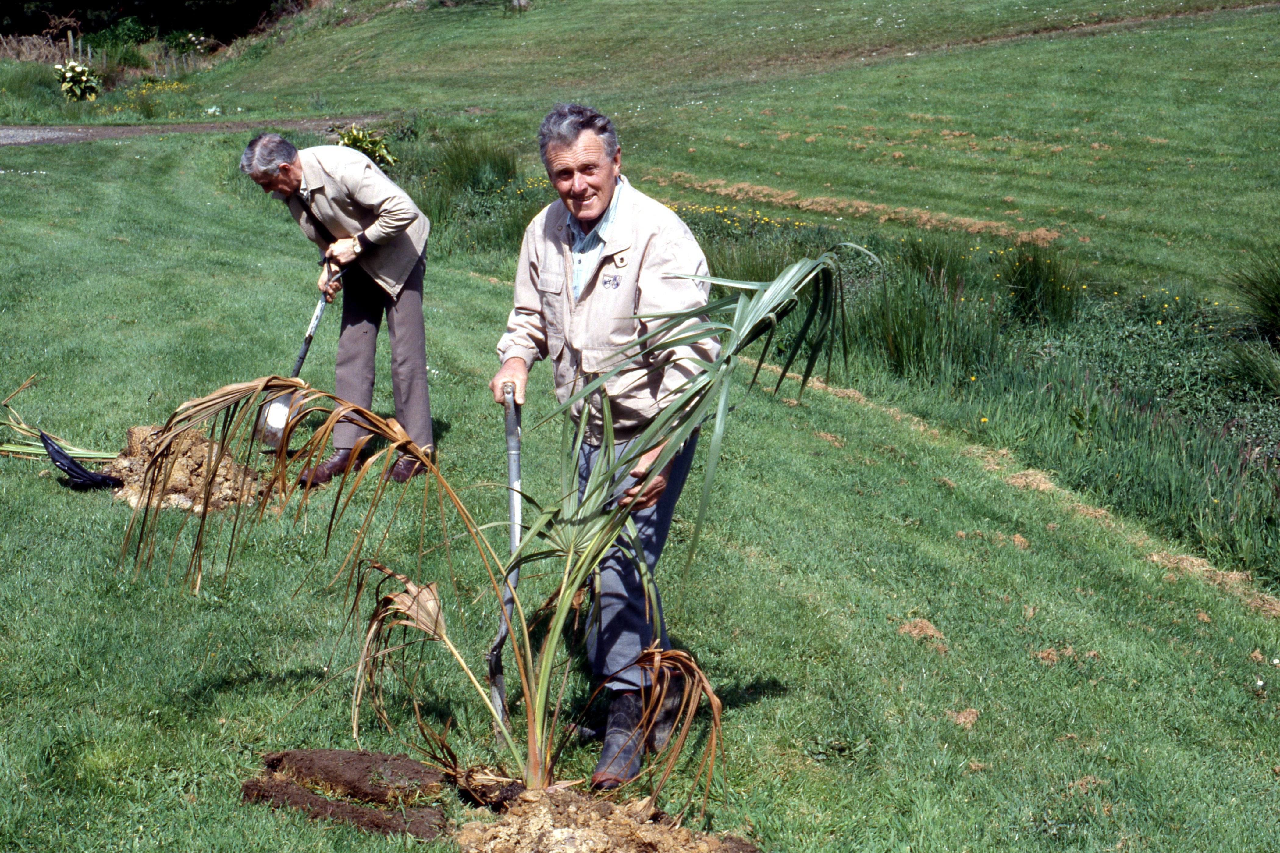 1992. Planting the Palm Garden.