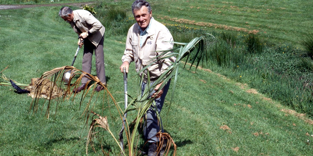 1992. Planting the Palm Garden.