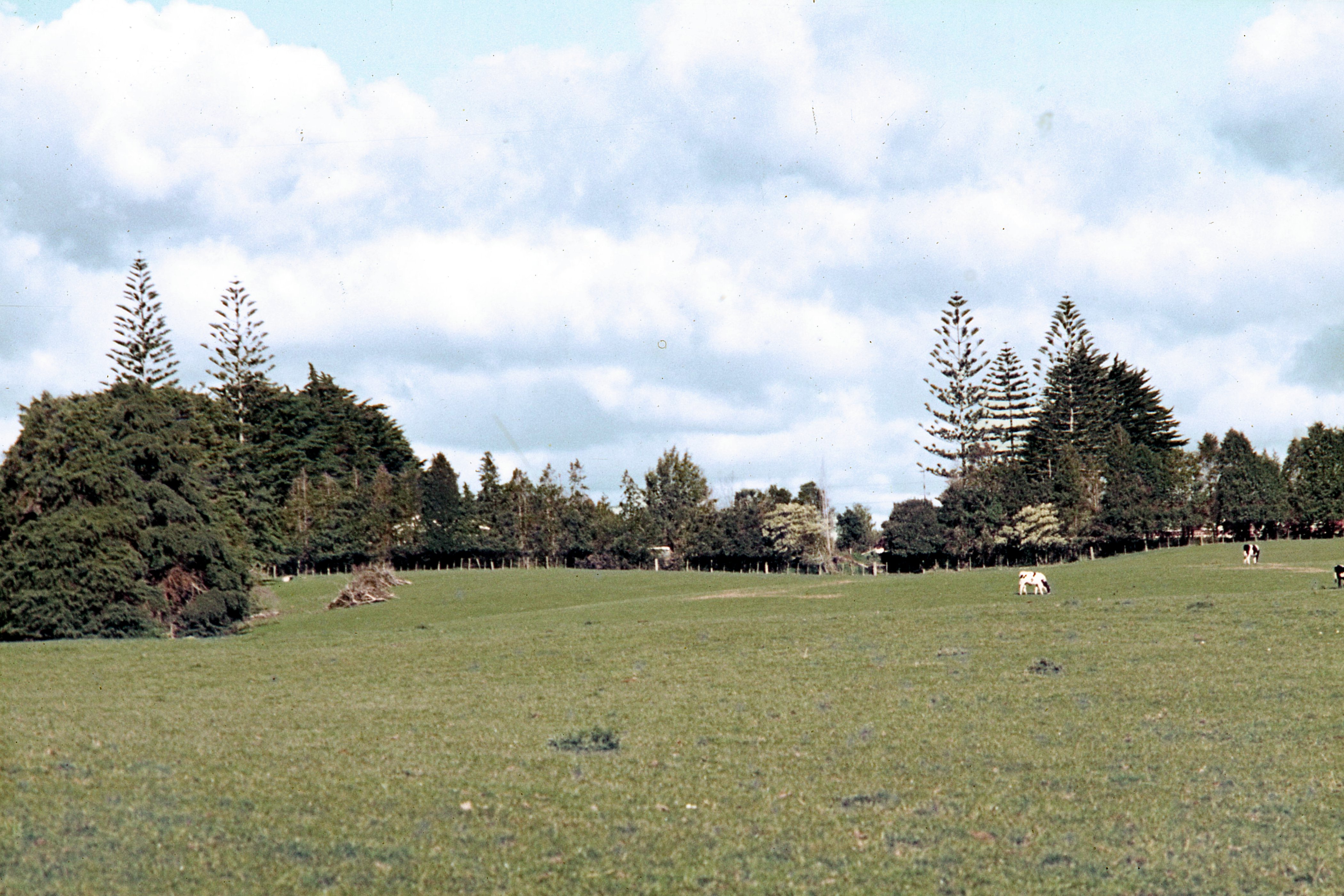 1972.  Auckland Botanic Gardens site.