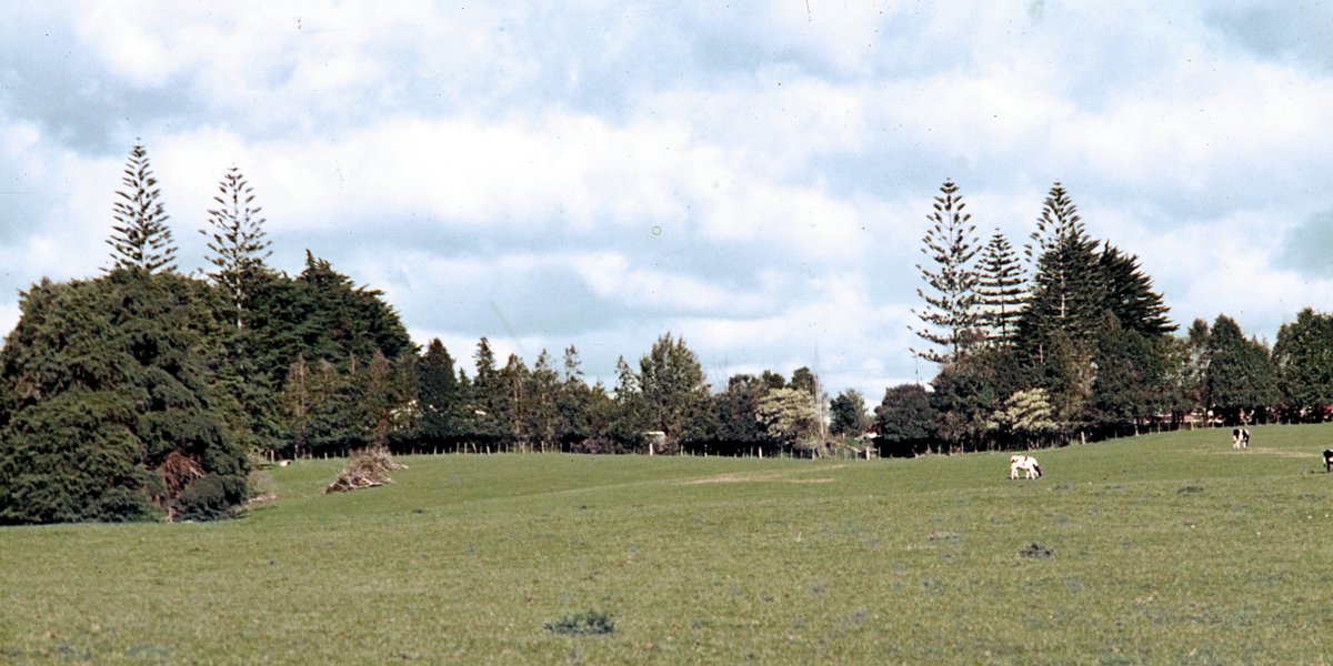 1972.  Auckland Botanic Gardens site.