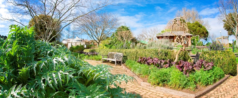 The Herb Garden at the Auckland Botanic Gardens 