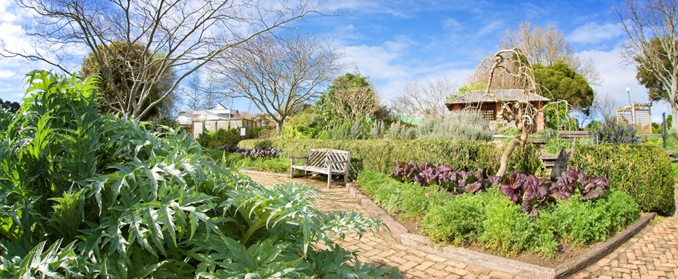 The Herb Garden at the Auckland Botanic Gardens 