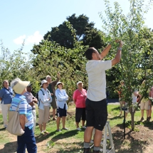 Summer pruning with Jeff