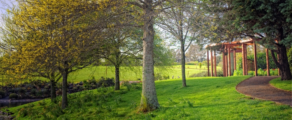 Spring growth adorns the trees in front of the curved, red-painted pergola of the Womens suffrage garden