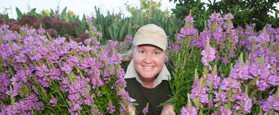 Rangi Green in the Perennial Garden