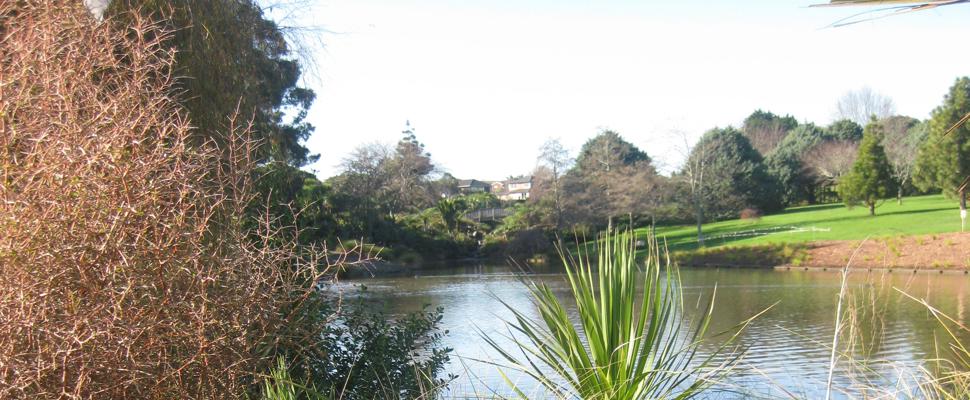 Riparian planting at the Gardens