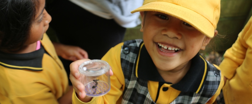 Inspecting invertebrates