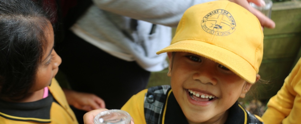 Inspecting invertebrates