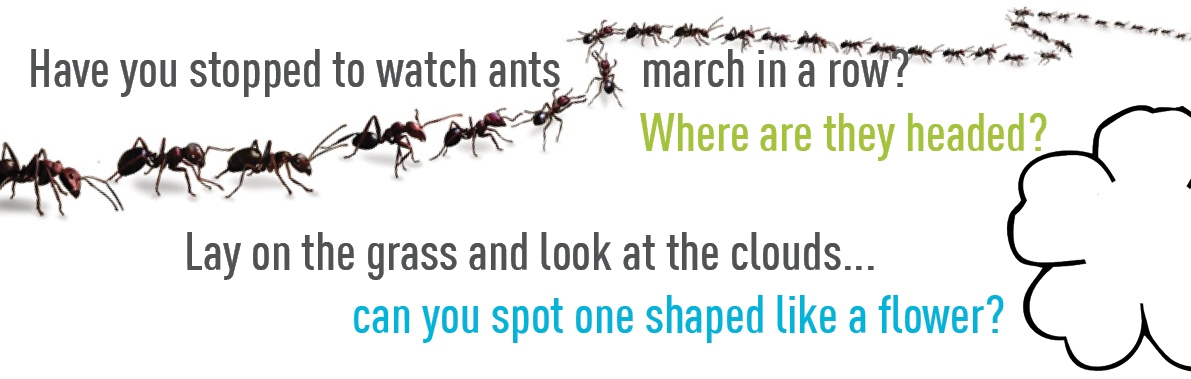 Have you stopped to watch ants march in a row?... where are they headed? When was the last time you lay on the grass to look at the clouds? Can you find one shaped like a flower?