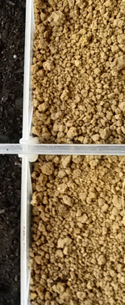 soil types