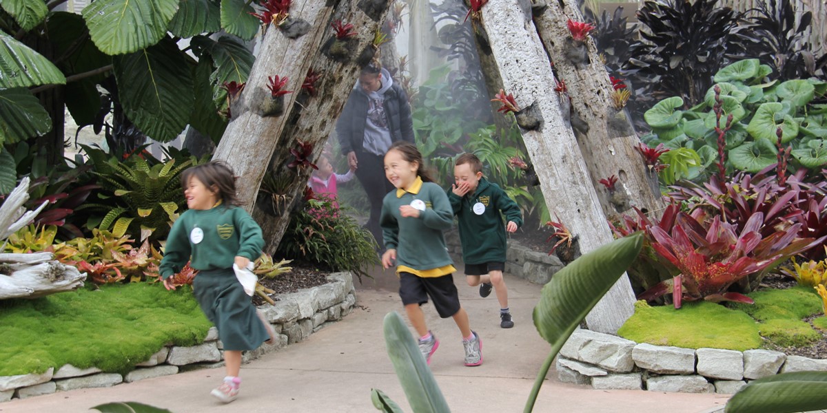 Running through the misty jungle, Potter Children's Garden