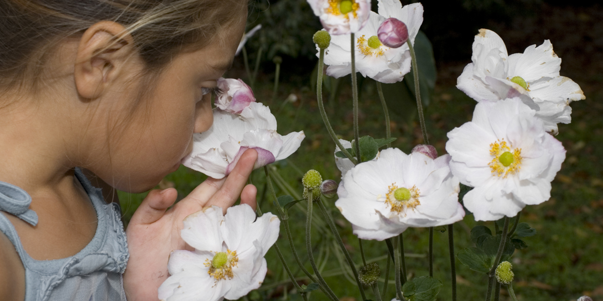 Stopping to smell the flowers