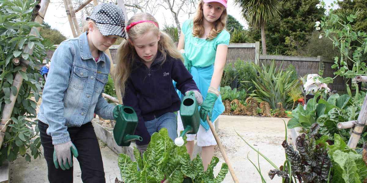 School kids in the teaching garden