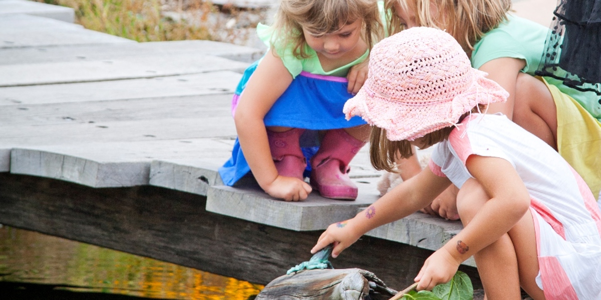 Frog spotting in the stinky bog at the Potter Children's Garden