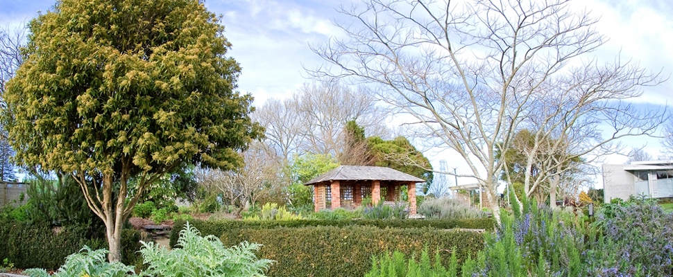 The Herb Garden