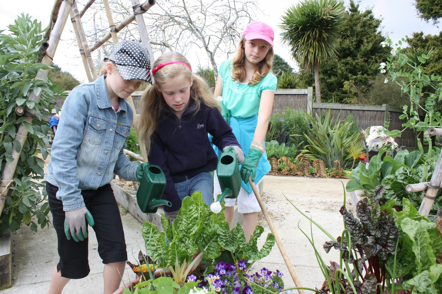 Edible gardening with kids - Auckland Botanic Gardens