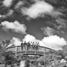 Wedding photography - Rock Garden bridge