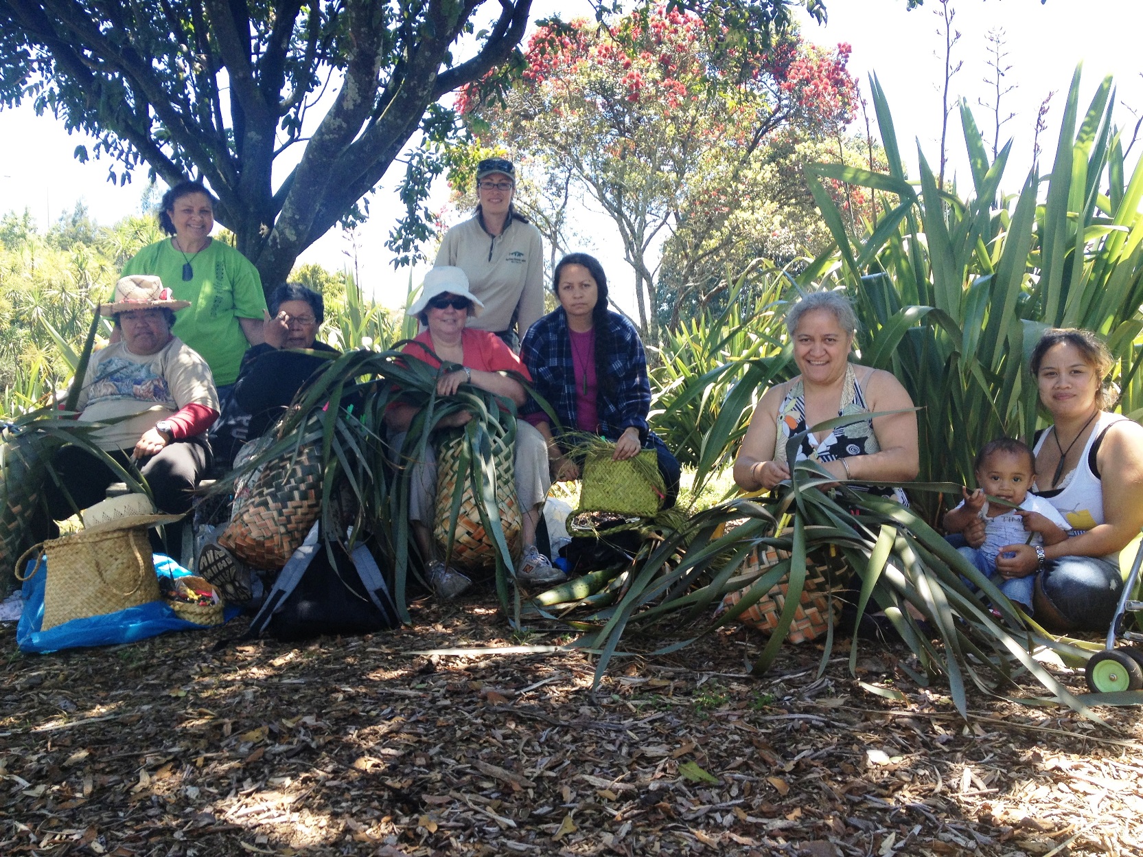 Harakeke weavers - Auckland Botanic Gardens