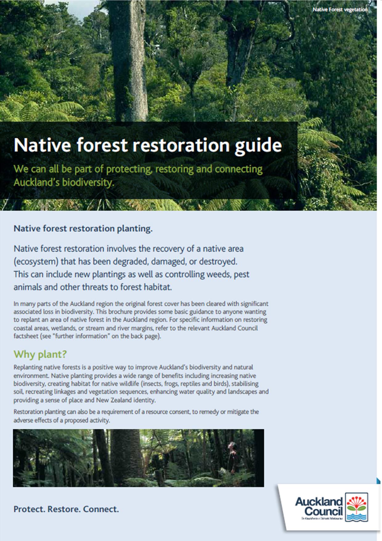 Native Forest restoration guide.jpg