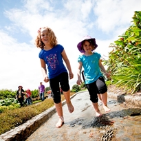 Taken from low down the photo shows two children running barefoot through a channel of water on a warm sunny day at Auckland Botanic Gardens