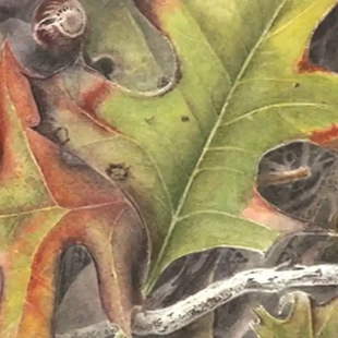 Painting a Leaf - Botanical Watercolours for Beginners image