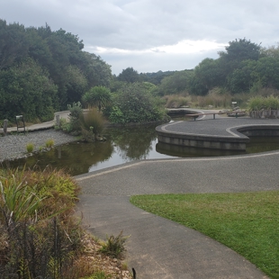 Guided walk of Threatened Native Plants Garden image