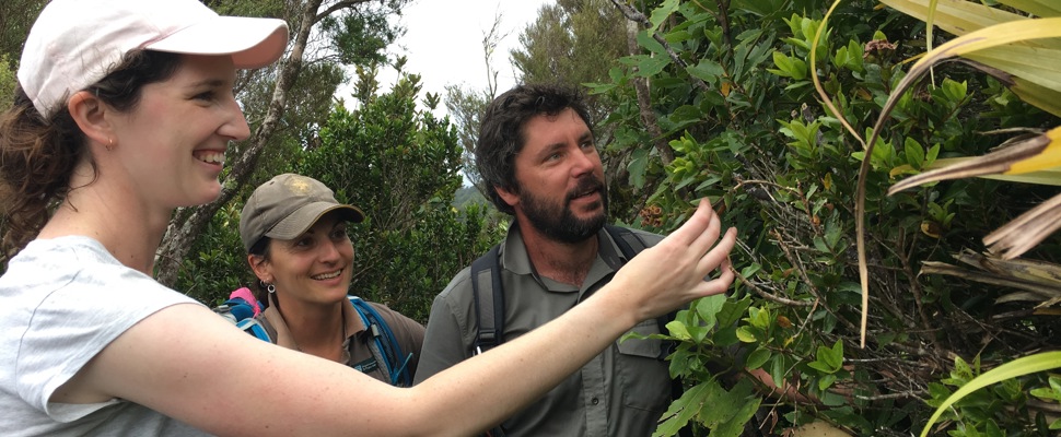 Department of Conservation and Botanic Gardens staff on Great Barrier