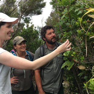 Partnership to conserve Myrtaceae image