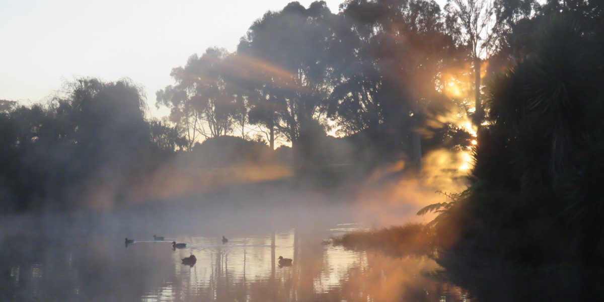 Lake on a foggy morning in winter