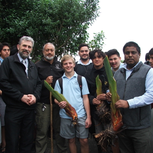 Heritage harakeke (flax) gifted to Whangarei Boys High School image