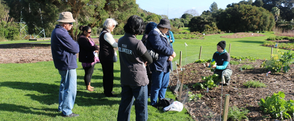 Our staff discussing compost and edibles with our volunteers