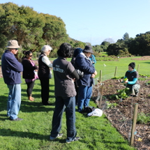 Our staff discussing compost and edibles with our volunteers