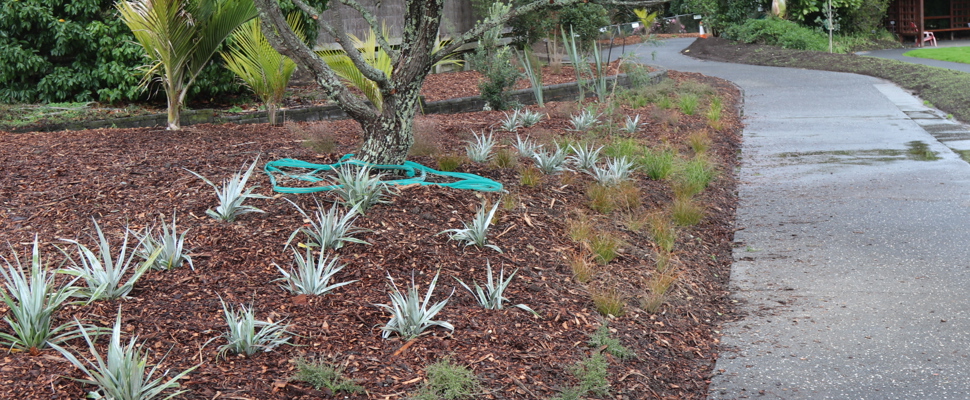 Planted garden bed