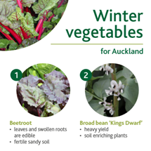 Winter vegetables image