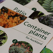 Container plants image
