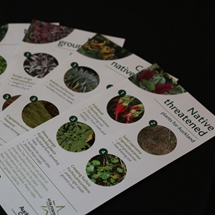 Plants for Auckland brochures | Auckland Botanic Gardens