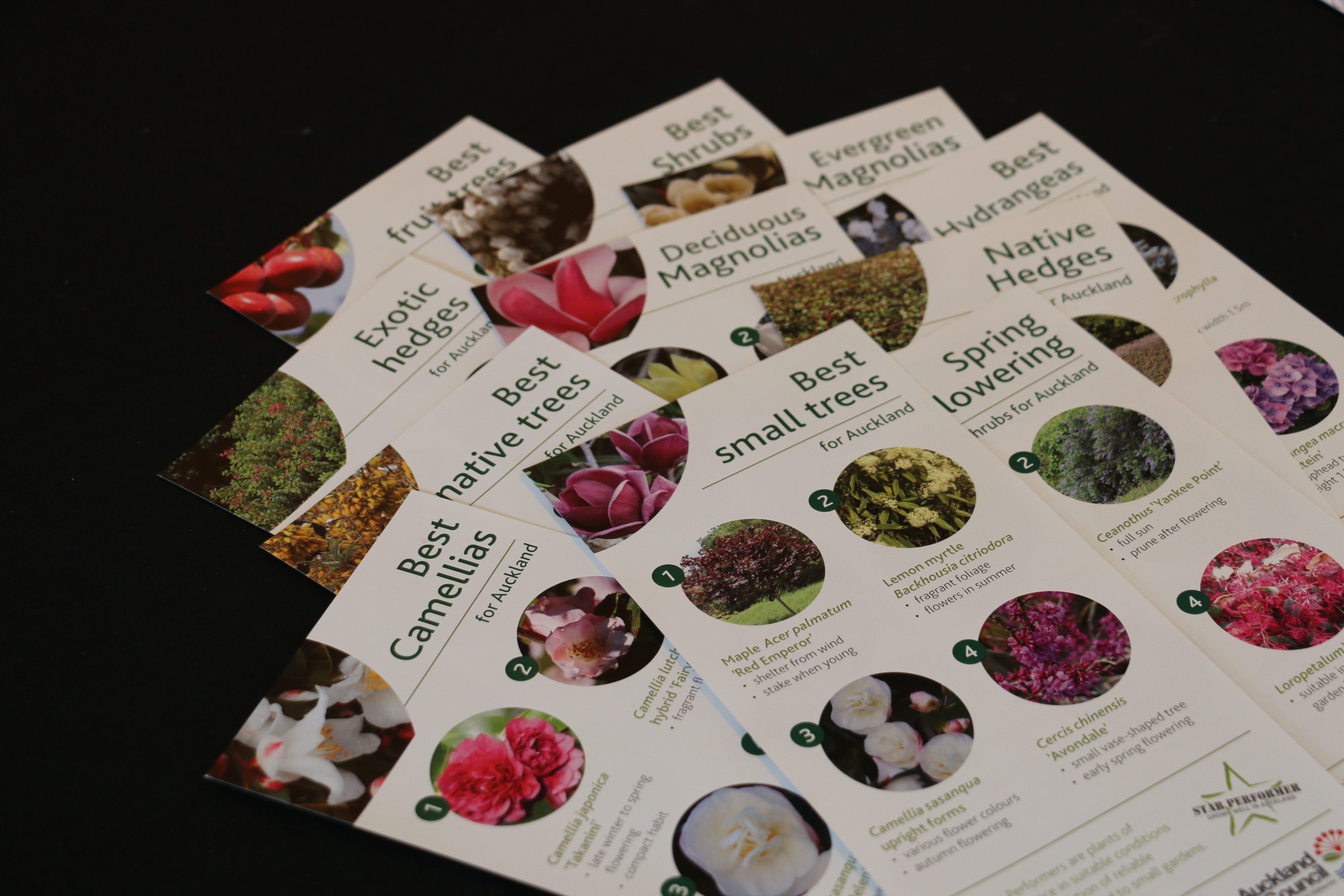 Trees, shrubs, climbers and hedges image