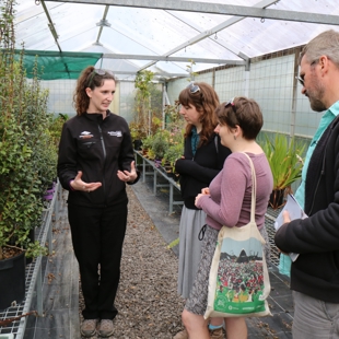 Meeting rare native plants at the Gardens image