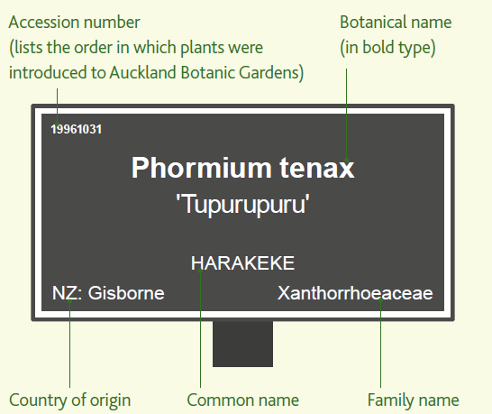 Plant label.PNG