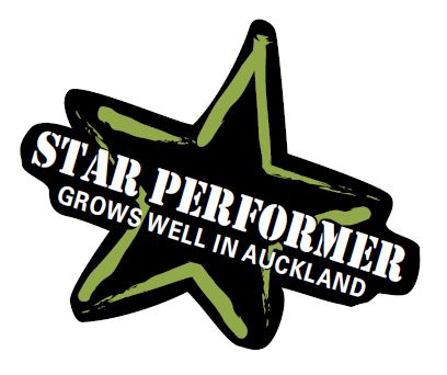Star performer logo.JPG